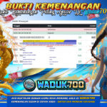 BUKTI JACKPOT SLOT WILD BOUNTY SHOWDOWN TERPERCAYA DI INDONESIA TGL 29-06-2025