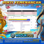 BUKTI JACKPOT SLOT WILD BOUNTY SHOWDOWN TERPERCAYA DI INDONESIA TGL 28-07-2025