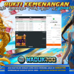 BUKTI JACKPOT SLOT 5 LIONS REBORN TERPERCAYA DI INDONESIA TGL 24-01-2026