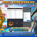 BUKTI JACKPOT SLOT WILD BOUNTY SHOW DOWN  TERPERCAYA DI INDONESIA TGL 28-02-2026