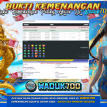 BUKTI JACKPOT SLOT STARLIGHT PRINCESS TERPERCAYA DI INDONESIA TGL 06-02-2026