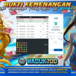 BUKTI JACKPOT SLOT STARLIGHT PRINCESS TERPERCAYA DI INDONESIA TGL 12-02-2026
